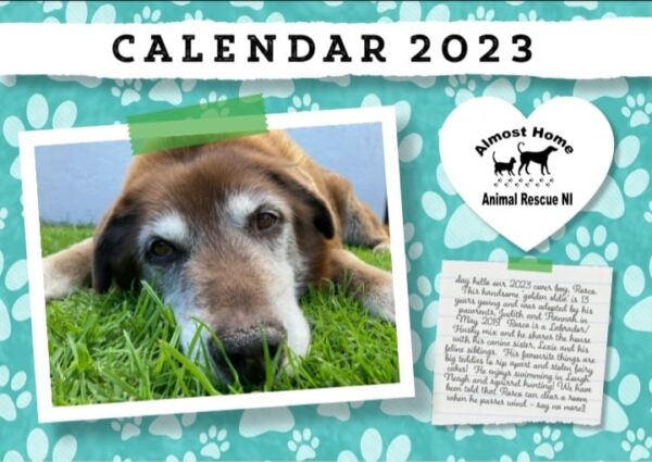 Almost Home 2023 Calendar