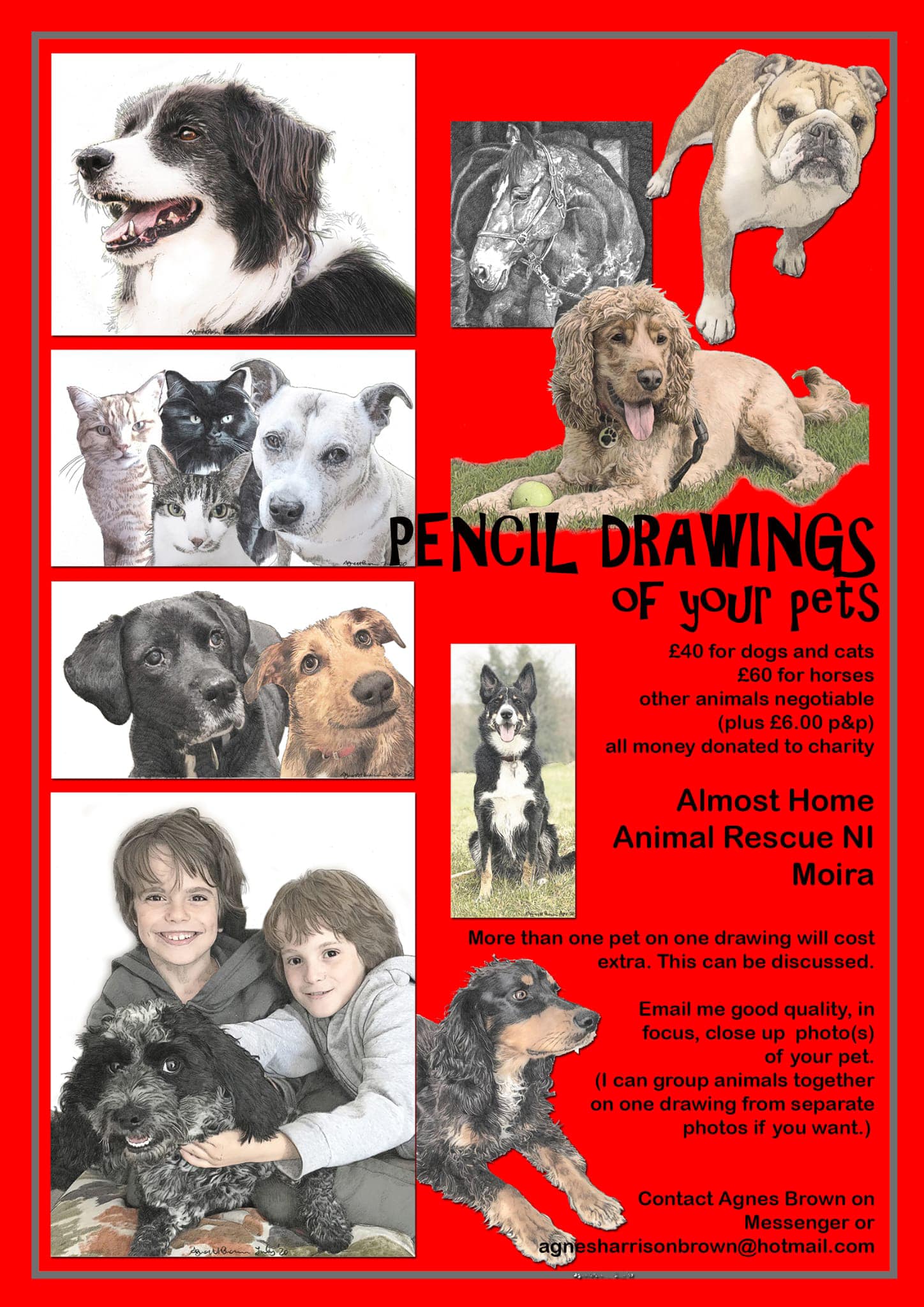 pet portraits flyer