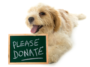 dog-donate