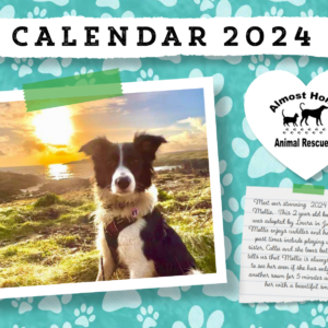 Almost Home 2024 Calendar
