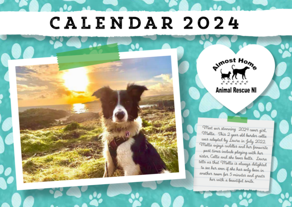 Almost Home 2024 Calendar