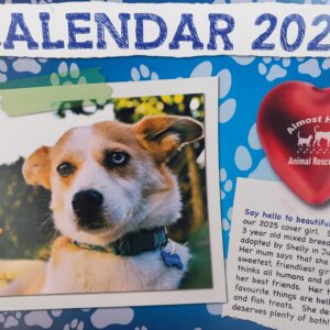 Almost Home 2025 Calendar