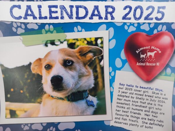 Almost Home 2025 Calendar