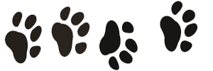 4 paw prints